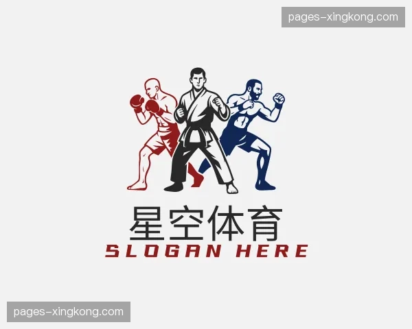 关于星空体育官方网站